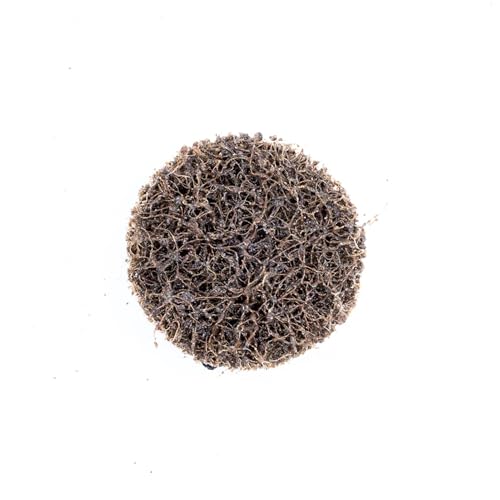 Benchmark Abrasives 1-1/2 Inch Sanding Discs Quick Change Nylon Surface Conditioning Discs, Drill & Die Grinder Sanding Disc Rust Remover for Metal Paint Stripper, Polishing - (25 Pack)(Fine)
