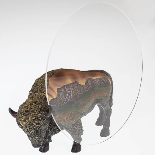 Clear Acrylic Plexiglass Lucite Circle Round Disc Every Thickness and Diameter Available