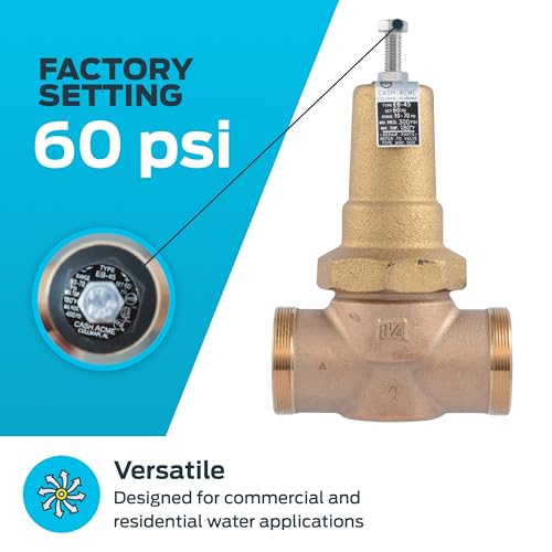 Cash Acme EB45 Pressure Regulating Valve, 1-1/4 Inch NPT Threaded, Metal Top, 60 PSI, PVA35M-DTH-60 - size: 1-1/4 in., 60 PSI