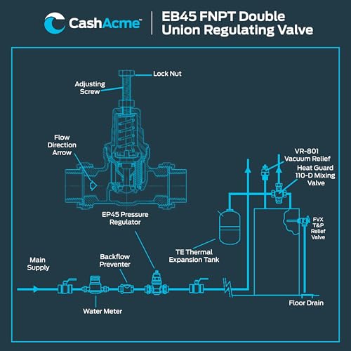 Cash Acme EB45 Pressure Regulating Valve, Double Union, 1/2 Inch NPT Female, Poly Top, 60 PSI, PVA08P-DUTH-60 - size: 1/2 in., Poly Top