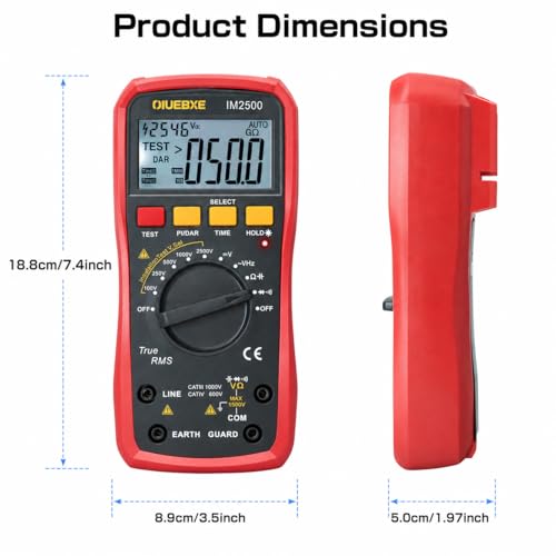 2500V Megohmmeter and True RMS Multimeter for Industrial Testing, 50GΩ