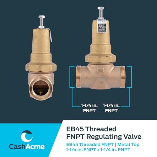 Cash Acme EB45 Pressure Regulating Valve, 1-1/4 Inch NPT Threaded, Metal Top, 60 PSI, PVA35M-DTH-60 - size: 1-1/4 in., 60 PSI