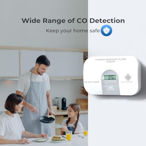 SITERWELL Carbon Monoxide Detector 7 Year Product Life Co Detectors - size: 2 Pack