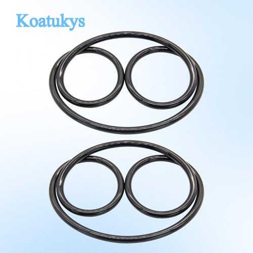 CX900F 0-240 Tank Lid O-Ring Compatible with Hayward Star-Clear Plus Cartridge and Separation Tank Filter C751 C900 C1200 C1750 U9-228A (2/Pack)