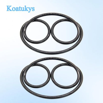 CX900F 0-240 Tank Lid O-Ring Compatible with Hayward Star-Clear Plus Cartridge and Separation Tank Filter C751 C900 C1200 C1750 U9-228A (2/Pack)