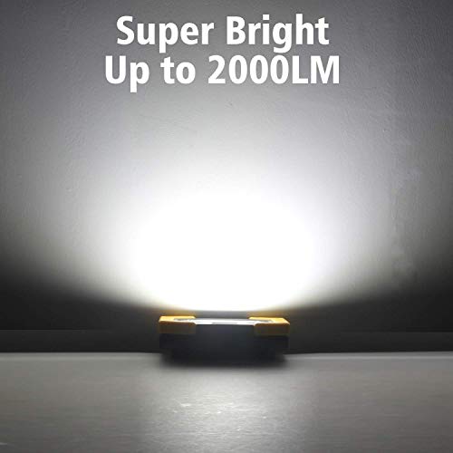 T-SUN Rechargeable LED Work Light,30W 2000LM COB Utility Light,2 Pack