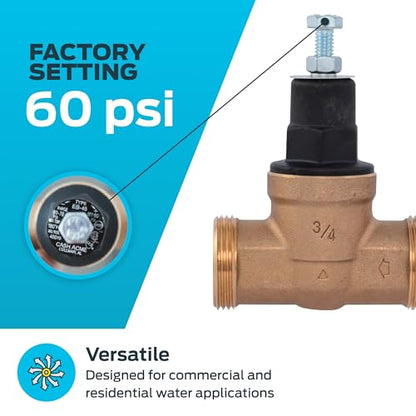 Cash Acme EB45 Pressure Regulating Valve, 3/4 Inch NPT Threaded, Poly Top, 60 PSI, PVA16P-DTH-60 - size: 3/4 in., 60 PSI