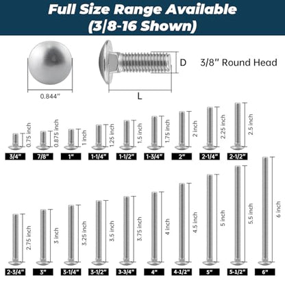 3/8-16 x 1-1/4 Inch Carriage Bolt Kit, 304 Stainless Steel (18-8) with Hex Nuts & Flat Washers - 16 Sets, Round Head Square Neck, Full Thread Coverage by Glvaner - size: 3/8-16 x 1-1/4"