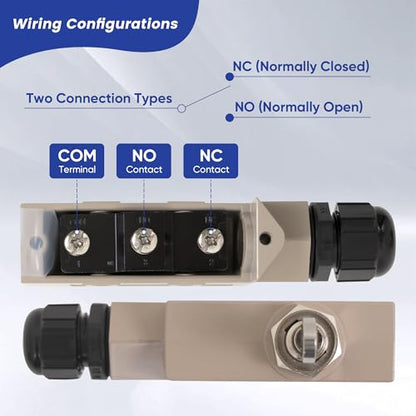 CNTD TZ-6003 15A Heavy Duty Micro Switch - style: TZ-6003