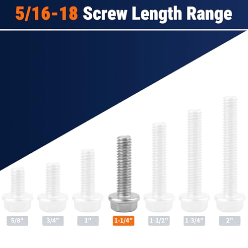 5/16-18 x 1-1/4" Flange Hex Bolts, 304 Stainless Steel 18-8, A2-70 Grade, Non-Serrated Flange Bolts for Automotive Repair, Fully Threaded, 12 Pcs - size: 5/16-18 x 1-1/4