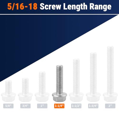 5/16-18 x 1-1/4" Flange Hex Bolts, 304 Stainless Steel 18-8, A2-70 Grade, Non-Serrated Flange Bolts for Automotive Repair, Fully Threaded, 12 Pcs - size: 5/16-18 x 1-1/4
