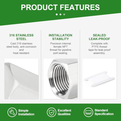 TAISHER 5Pcs 316 SS Hex Pipe Cap, 1/4" Female NPT Thread Pipe Fitting - size: 1/4"FNPT(316 Cap)