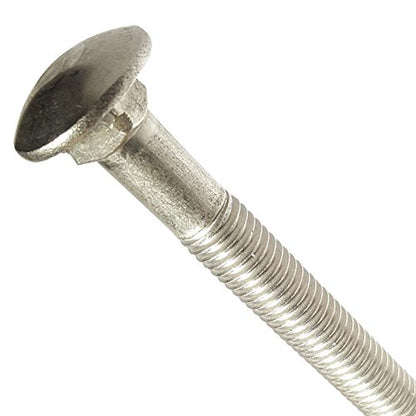 5/16-18 x 6" Carriage Bolts, Round Head, Square Neck, Stainless Steel 18-8, Partial Thread, Plain Finish, Flat Point, Quantity 10 By Fastenere - size: 5/16-18 x 6" (10 Pack)
