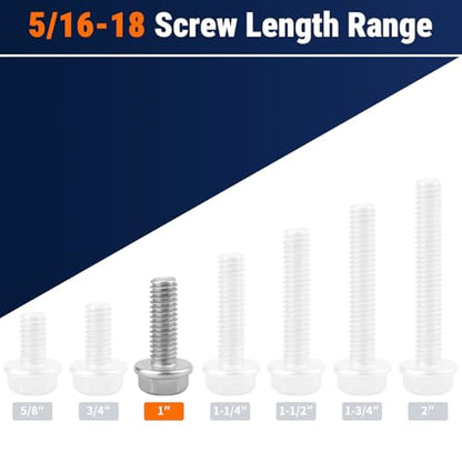 5/16-18 x 1" Flange Hex Bolts, 304 Stainless Steel 18-8, A2-70 Grade, Non-Serrated Flange Bolts for Automotive Repair, Fully Threaded, 12 Pcs - size: 5/16-18 x 1