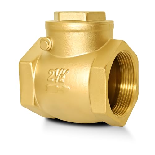 2-1/2" NPT Horizontal Swing Check Valve Brass Heavy-Duty Female Thread DN65 - size: 2 1/2 inch
