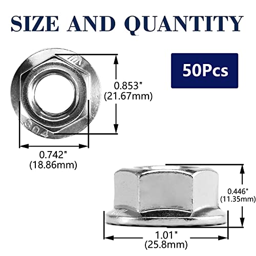 1/2-13 Serrated Flange Hex Lock Nuts 50Pcs 304 Stainless Steel 18-8, Full Thread, Hex Drive, Bright Finish by SG TZH