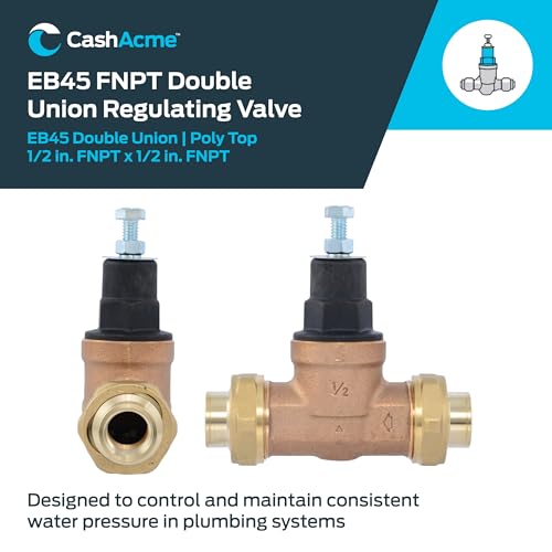 Cash Acme EB45 Pressure Regulating Valve, Double Union, 1/2 Inch NPT Female, Poly Top, 60 PSI, PVA08P-DUTH-60 - size: 1/2 in., Poly Top