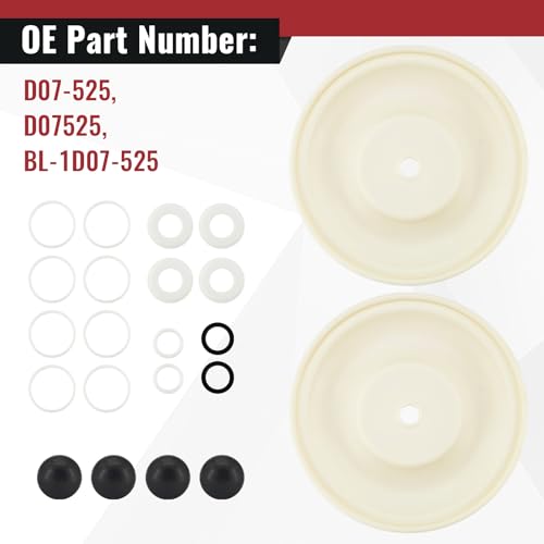 D07-525 Diaphragm Pump Repair Kit