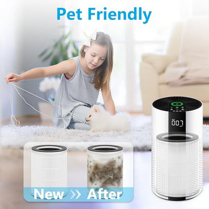 2 Packs HAP609 Replacement Filter Compatible with ECOSELF HAP609 Air Purifi-er for Home Large Room up to 1800 Ft², Main Filter