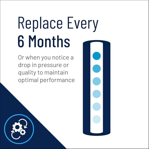 Pentair Pentek NCP-20 Carbon Water Filter, 20-Inch, Whole House Non-Cellulose Carbon Impregnated Pleated Filter Cartridge, 20" x 2.5", 10 Micron - size: Pack of 1, style: 20" x 2.5"