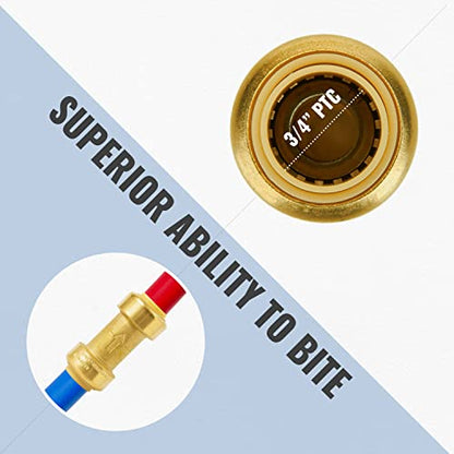 SUNGATOR Check Valve, 3/4 Inch Push-to-Connect Fittings, 2-Pack, Brass - size: 3/4 Inch, style: 2 Pack