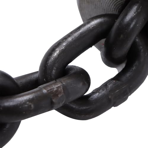 Hand Chain Hoist 2200LBS G80 Manual Chain Hoist 10FT