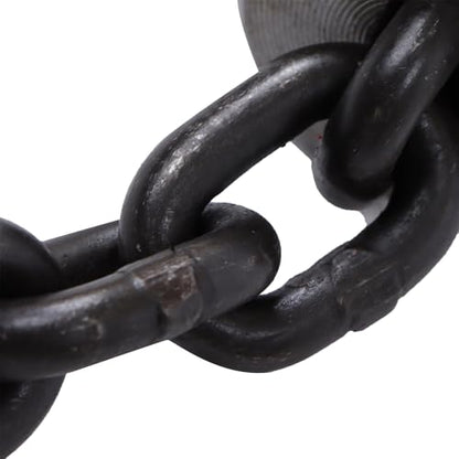 Hand Chain Hoist 2200LBS G80 Manual Chain Hoist 10FT