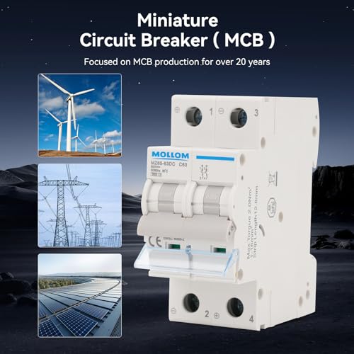 MOLLOM DC 2P 250V 10Amps C10 Miniature Circuit Breaker - style: 10A