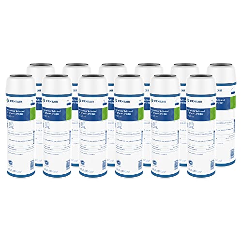Pentair Pentek GAC-10 10" x 2.5" Carbon Water Filter, Pack of 12 - size: Pack of 12, style: 10" x 2.5"