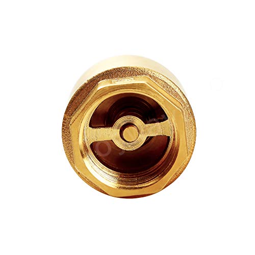 Joywayus Brass Check Valve 3/4" NPT Female Thread One Way Backflow Preventer Check Valves (Pack of 2) - size: 3/4" Female