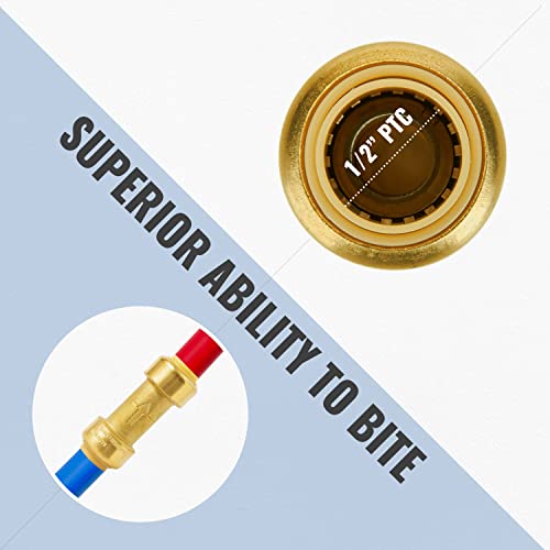 SUNGATOR Check Valve, 1/2 Inch Push-to-Connect Fittings, 2-Pack, Brass - size: 1/2 Inch, style: 2 Pack