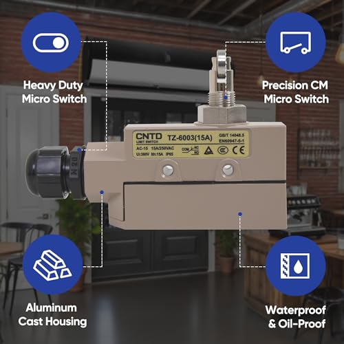 CNTD TZ-6003 15A Heavy Duty Micro Switch - style: TZ-6003