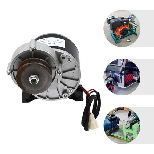 250W Gear Reduction Motor, DC 36V MY1016Z Powerful Electric Gear Motor with Belt Pulley, 2750rpm & 1N Torque for E-Bike Electric Scooter Tricycle (36V) - size: 36V