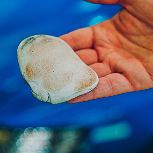 Meguiar'S G1001Eu Individual Clay Bar To Safely Remove Surface Bonded Contaminants Such As Tar, Tree Sap, Overspray And Industrial Fallout, 80 g
