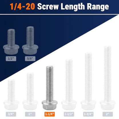 1/4-20 x 1-1/4" Flange Hex Bolts, 304 Stainless Steel 18-8, A2-70 Grade, Non-Serrated Flange Bolts for Automotive Repair, Fully Threaded, 20 Pcs - size: 1/4-20 x 1-1/4