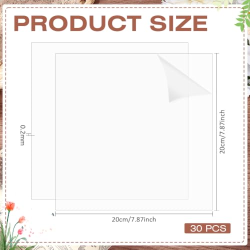 30Pcs Clear Polycarbonate Sheets Plastic Sheet Resistant Plastic Panel Polycarbonate Board with Protective Paper for DIY Display Document Picture Frames Easy to Cut Bend