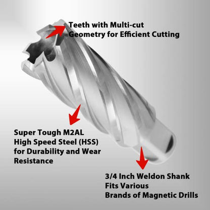 S&F STEAD & FAST Annular Cutter High Speed Steel 1" x 2" with Pilot Pin - size: 1"x 2"