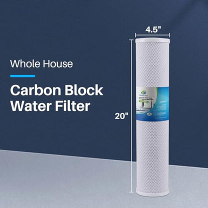 CFS Radial Flow Carbon Water Filter for RFC20-BB, 20 x 4.5 in, 1 Pack