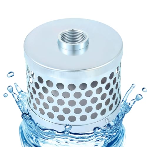 Carbon Steel Round Hole Suction Strainer Filter for Water Pumps - 1 inch - size: 1 inch