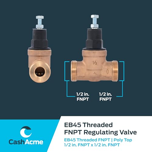 Cash Acme EB45 Pressure Regulating Valve, 1/2 Inch NPT Threaded, Poly Top, 60 PSI, PVA08P-DTH-60 - size: 1/2 in., 60 PSI
