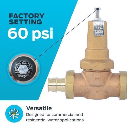 Cash Acme EB45 Pressure Regulating Valve, Double Union, 1-1/4 Inch Expansion, Metal Top, 60 PSI, PVA35M-DUEX-60 - size: 1-1/4 in., 60 PSI