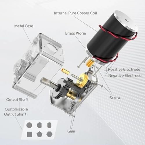 24V 10RPM Reversible Worm Gear Motor, High Torque Self-Locking Turbine