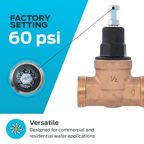 Cash Acme EB45 Pressure Regulating Valve, 1/2 Inch NPT Threaded, Poly Top, 60 PSI, PVA08P-DTH-60 - size: 1/2 in., 60 PSI