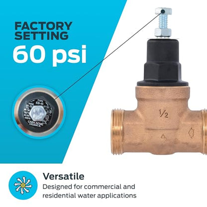 Cash Acme EB45 Pressure Regulating Valve, 1/2 Inch NPT Threaded, Poly Top, 60 PSI, PVA08P-DTH-60 - size: 1/2 in., 60 PSI