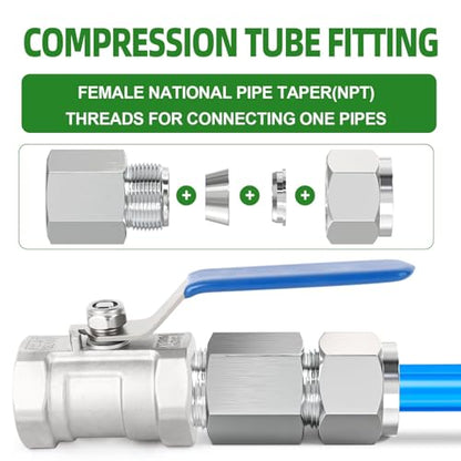TAISHER 2PCS 304 Stainless Steel Compression Tube Pipe Fitting Connector, 1/2" Tube OD x 3/8" NPT Female - size: 1/2" OD x 3/8" FNPT