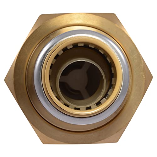Cash Acme BF5 Dual Check Valve, 1 x 3/4 Inch Push to Connect, Compatible with SharkBite, BF5M0134SB