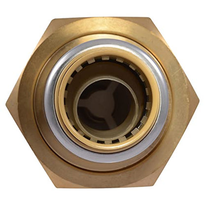 Cash Acme BF5 Dual Check Valve, 1 x 3/4 Inch Push to Connect, Compatible with SharkBite, BF5M0134SB