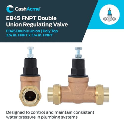 Cash Acme EB45 Pressure Regulating Valve, Double Union, 3/4 Inch NPT Female, Poly Top, 60 PSI, PVA16P-DUTH-60, Brass - size: 3/4 in., Poly Top
