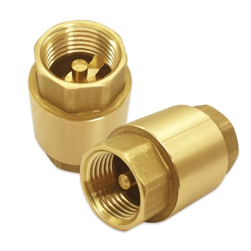 Hooshing 2PCS Spring Check Valve 1/2" NPT Female Thread Backflow Preventer - size: 1/2" NPT