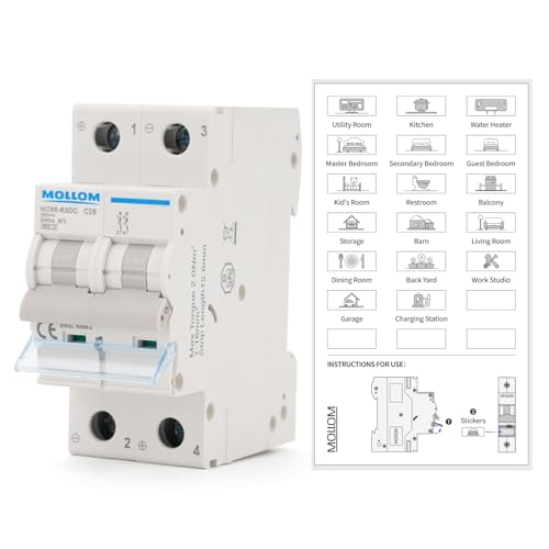 MOLLOM DC 2P 250V 25Amps C25 Miniature Circuit Breaker - style: 25A